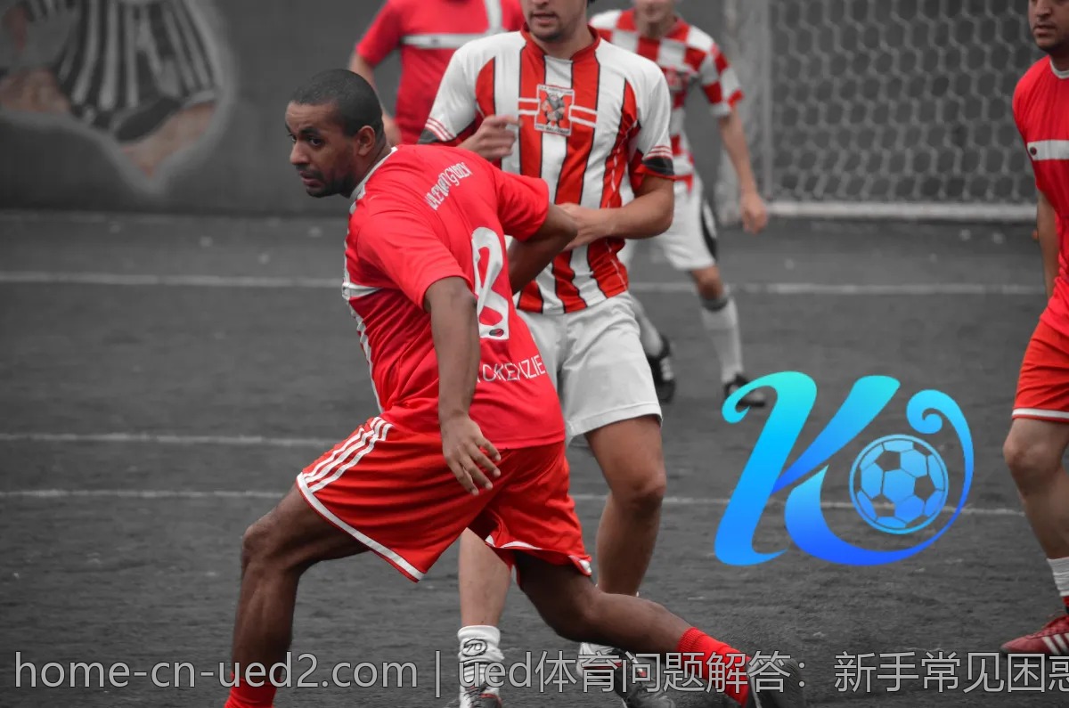 ued体育问题解答:新手常见困惑逐一击破