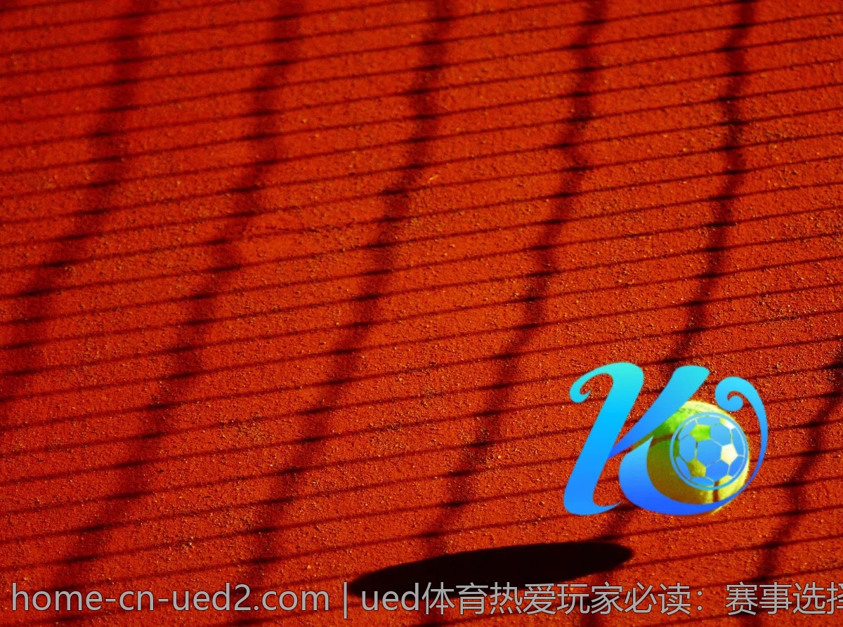 ued体育热爱玩家必读:赛事选择与投资心得