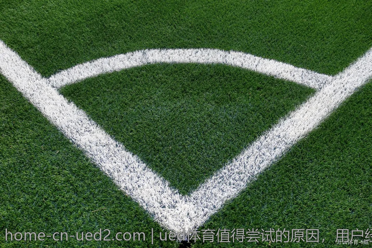 ued体育值得尝试的原因，用户经验分享