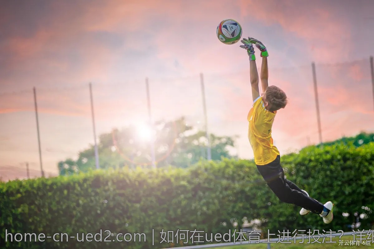 如何在ued体育上进行投注？详细步骤分享