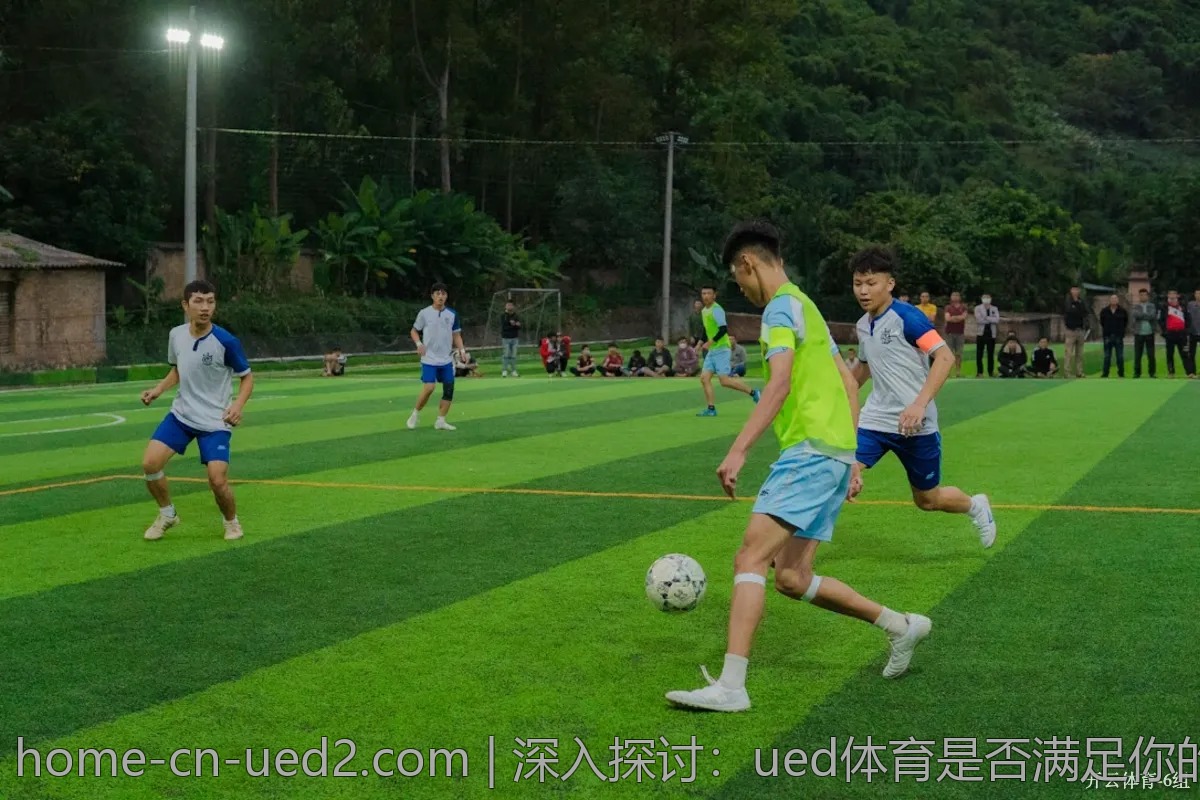 深入探讨：ued体育是否满足你的需求？