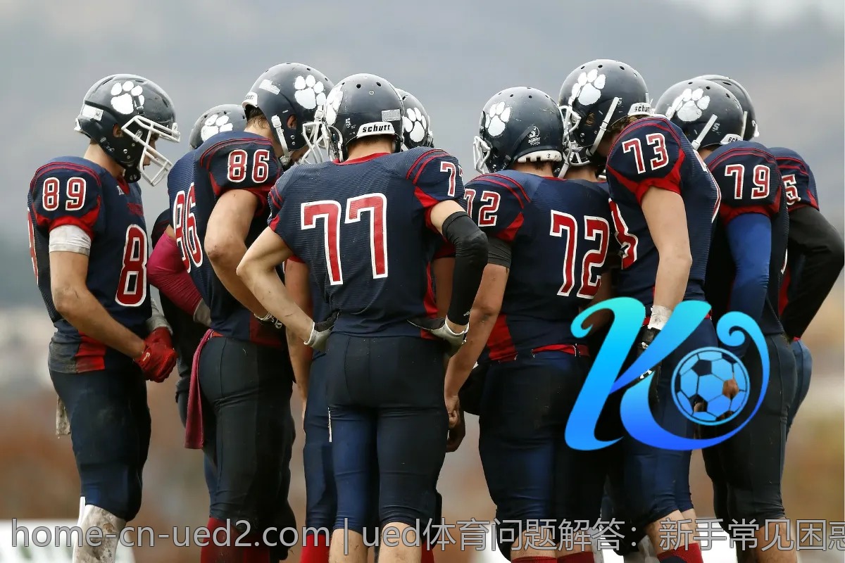 ued体育问题解答:新手常见困惑逐一击破