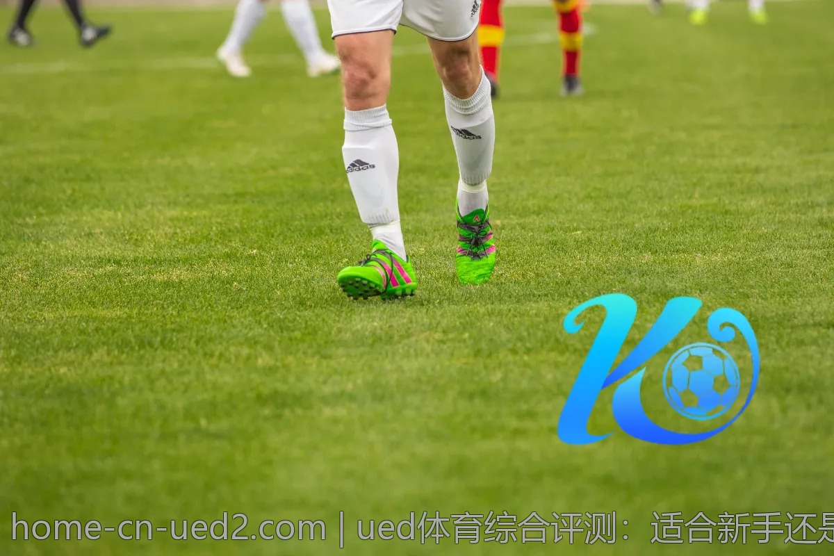 ued体育综合评测:适合新手还是老玩家?